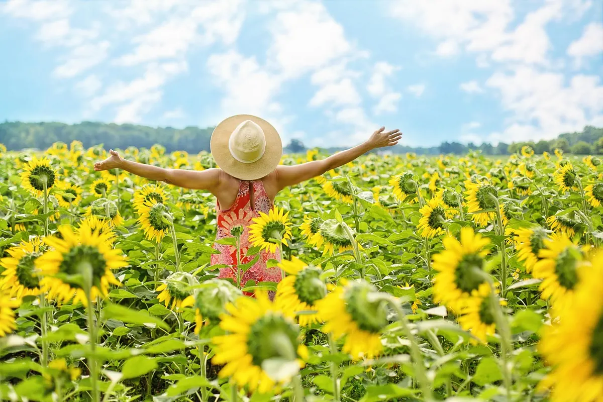 8 Low-Water Flowers for a Hot, Sunny Border