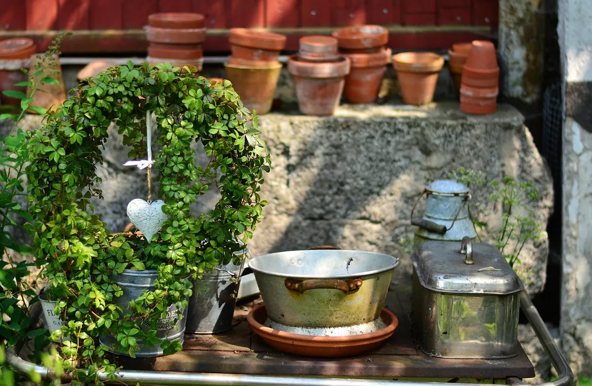Common Mistakes When Watering Outdoor Potted Plants